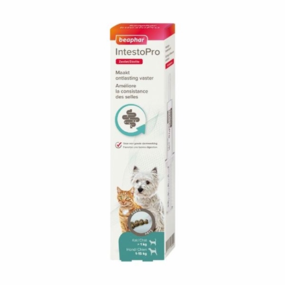 Picture of Beaphar IntestoPro Paste for Cats and Small Dogs 20ml